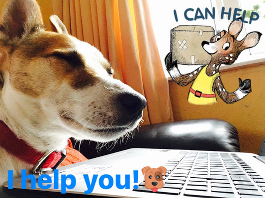 My WHY – Why I Joined doTERRA