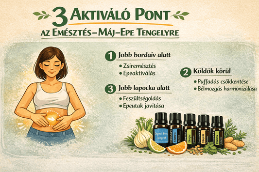 Aromaterápia - A 3 aktiváló pont - Emésztés–Máj–Epe tengely - Fogyni akarok - sorozat - 2